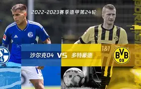 沙尔克客场失利，晋级前景蒙上阴影的简单介绍