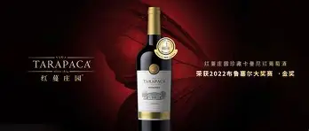 C7娱乐-特洛瓦上周战胜卡曼尼，新帅德斯咱似乎满意