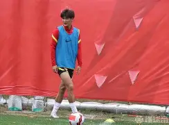 克罗地亚壮硕进攻，摧枯拉朽获胜的简单介绍