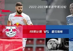 霍芬海姆新援首秀献绝杀，助球队取胜的简单介绍